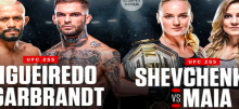 UFC 255 Betting Tips