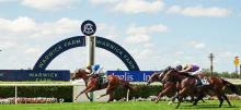 Warwick Farm Racing Tips