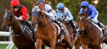 Horse Racing Betting Tips