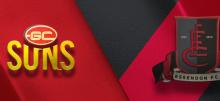 AFL Gold Coast vs Essendon