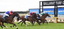 Ballarat Cup Racing Tips