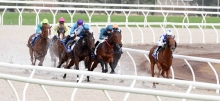 Ballarat Racing Tips