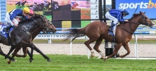 Horse Racing Tips