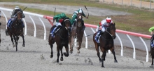 Australian Horse Racing Tips Monday August 17th