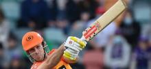 BBL11 Scorchers vs Renegades Betting Tips