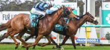 Bendigo Cup Racing Tips