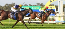 Australian Horse Racing Tips Sunday August 9th