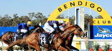 Bendigo Cup