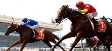 Horse Racing Tips