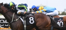 Horse Racing Tips