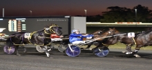 Harness Racing Tips