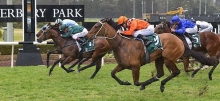 Horse Racing Tips