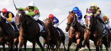 Horse Racing Tips