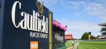 Caulfield Betting Tips