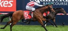 Horse Racing Tips