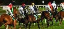 Australian Horse Racing Tips Friday October 9th