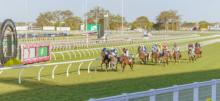 Doomben Racing Tips