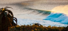 Surfing betting tips