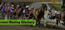 Harness Racing Glossary