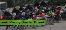 Harness Racing Barrier Draws