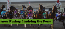 Harness racing form: what are the most important things to consider