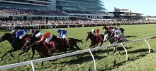 Horse Racing Tips