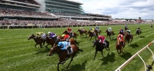 Flemington Betting Tips