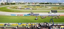 Gold Coast Racing Tips