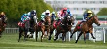 Gold Coast Racing Tips