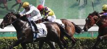 Sha Tin Racing Tips Sunday September 27th