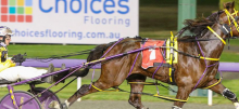 Harness Racing Tips: Gloucester Park - Tuesday, June 11th