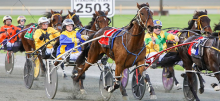 Harness Racing Tips: Gloucester Park - Friday, August 23rd