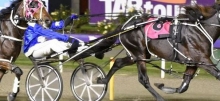 Harness Racing Tips
