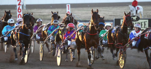 Harness Racing Tips: Tuesday, March 24th