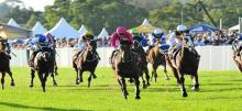 Hawkesbury Ladies Day Cup