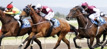 Horse Racing Tips