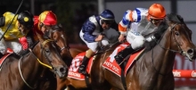 Horse Racing Tips
