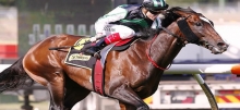 Horse Racing Tips