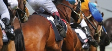 Australian Horse Racing Tips Tuesday January 26th