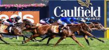 Caulfield Blue Diamond Betting Tips