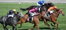 Lay of the Day Tips