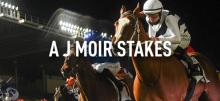 Moir Stakes Betting Tips