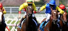 Horse Racing Tips