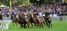 Ipswich Racing Tips