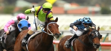 Horse Racing Tips