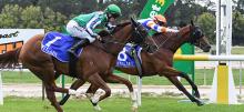 Australian Horse Racing Tips Tuesday September 22nd