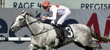 Randwick Racing Tips 2020 Spring Champion Stakes Day