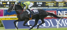 Caulfield Cup tips