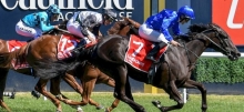 Horse Racing Tips