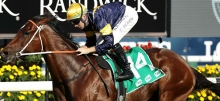 Randwick Racing Tips Saturday August 15th